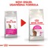 ROYAL CANIN FHN Suha hrana za mačke Exigent Savour, 2 kg