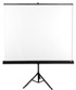 AVTEK Projektorsko platno TRIPOD STANDARD 200, 200 x 200 cm