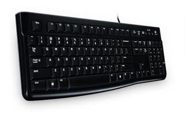 LOGITECH Tipkovnica K120 - tastatura - USA