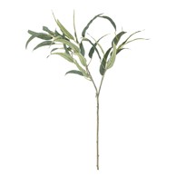 BLOOMINGVILLE Umjetni eukaliptus Eucalyptus, visina 85 cm  