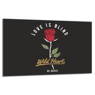 TMK Staklena zaštita za štednjak ili ploču za kuhanje 80x52, rose