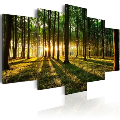 Slika Adventure in the woods 100x50