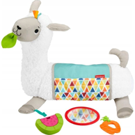FISHER-PRICE Igračka za učenje, GHJ03