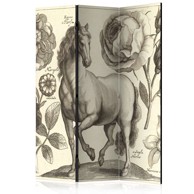 Sobna pregrada u 3 dijela Horse 135x172