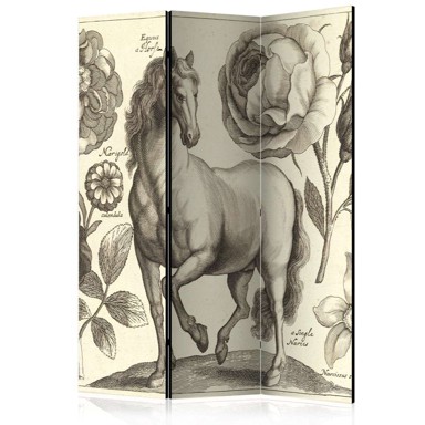 Sobna pregrada u 3 dijela Horse 135x172