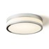 RENDL Stropna lampa, Cira LED 35, opal staklo/krom, 230V, LED, 24W, IP44, 3000K, bijela