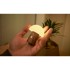 GINGKO Bijela/u tamnoj prirodnoj boji LED stolna lampa (visina 7 cm) Alice Mushroom 