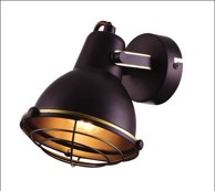 Dekorativna zidna rasvjeta W10145-1, 1xE27, zlatna