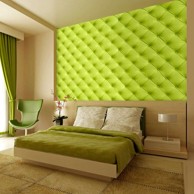 Samoljepljiva foto tapeta Lime detente 441x315