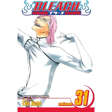 Bleach vol. 31
