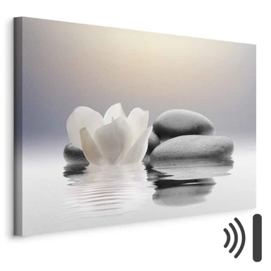 Slika Garden of Calm, 30x20 cm