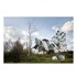 Sivo-zeleni ručnik od 100% pamuka Zone Classic Eucalyptus, 50x70 cm