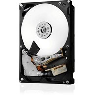 WESTERN DIGITAL Tvrdi disk Ultrastar DH HC570, 22TB, 7200 RPM, 512MB