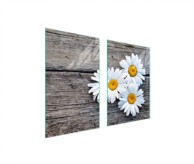 TMK Staklena zaštita za štednjak ili ploču za kuhanje 65x52, daisy