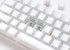 DUCKY Tipkovnica One 3 TKL Gaming USB QWERTZ njemačka bijela