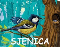 Knjiga Male šumske životinje Sjenica
