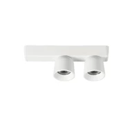 Plafonska svjetiljka, Minion, LL8748, LED, 3000K, 1872 lm, IP40, bijela