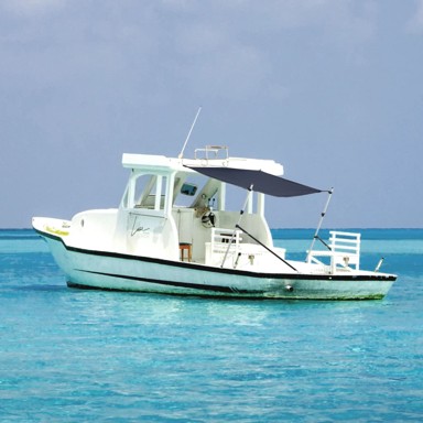 Brodsko sjenilo s vrhom T-oblika 170 x 170 x (113-182,5) cm