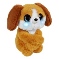 LJUBIMCI MAZILICE Psić Ziggy