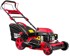 Motorna kosilica RTKSS0096