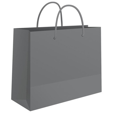 FORNAX Vrećica ukrasna, 50x37x12 cm sjajna plastifikacija, srebrna