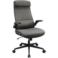 COUGAR Stolica Stryder Gaming/Office, siva