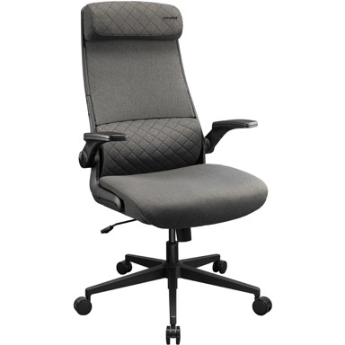 COUGAR Stolica Stryder Gaming/Office, siva