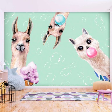 Foto tapeta Crazy Llamas 400x280
