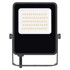EMOS LED reflektor Visio ZS2533, 30 W, neutralna bijela, crni