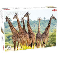 TACTIC Puzzle Animals: Tall Giraffes, životinje, 1000 kom