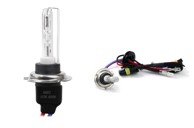 AMIO Premium HID xenon žarulje, H7, 6000K, hladno bijela, SINGLE BOX (1 žarulja)