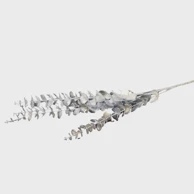 Rezano cvijeće Grana eukaliptus 85 cm, srebrna