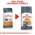 ROYAL CANIN FCN Suha hrana za mačke Hair & Skin, 2 kg