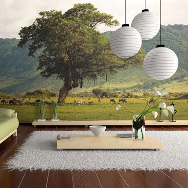 Foto tapeta In a crater of Ngoro ngoro 200x154