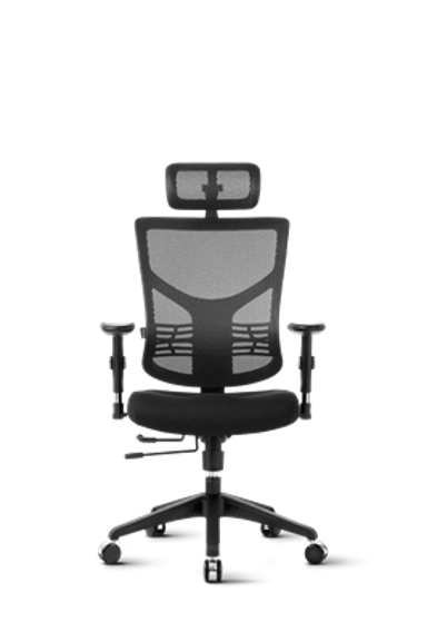 ERGOVISION Ergonomska uredska stolica Essent, crna