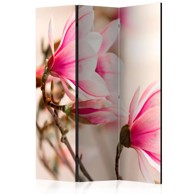 Sobna pregrada u 3 dijela Branch of magnolia tree 135x172