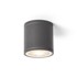 RENDL Stropna lampa, Lizzi, 230V, GU10 35W, IP54, antracit