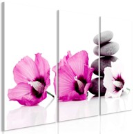 Slika Calm Mallow (iz tri dijela) Pink 120x80