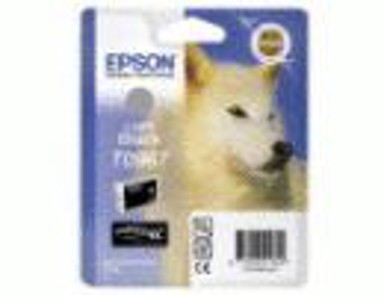 EPSON Tinta light black za Stylus Photo R2880