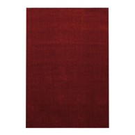 AYYILDIZ CARPETS Bordo tepih 60x100 cm Ata