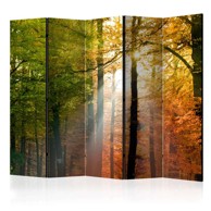 Sobna pregrada u 5 dijelova Forest Colours II 225x172