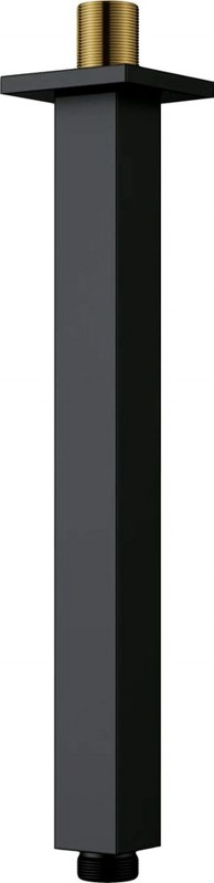 DTA Stropni izljev za tuš Nac_N48K 250 mm