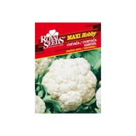 ROYAL SEEDS Sjeme povrća 2 cvjetača palla di neve