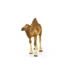 SCHLEICH Dječja figura WILD LIFE 14832