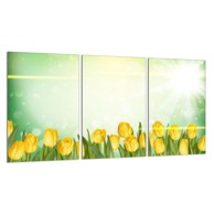 TMK Staklena zaštita za štednjak ili ploču za kuhanje iz tri dijela 30 x 52 cm