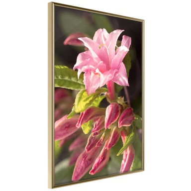 Poster Garden's Centerpiece 20x30