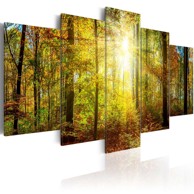 Slika Mystical Forest 100x50