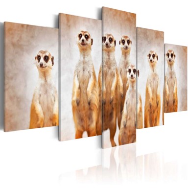 Slika Family of meerkats 200x100