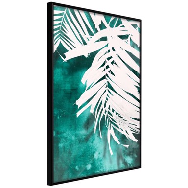 Poster White Palm on Teal Background 40x60