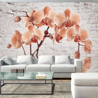 Foto tapeta The Orange Arc 350x245
